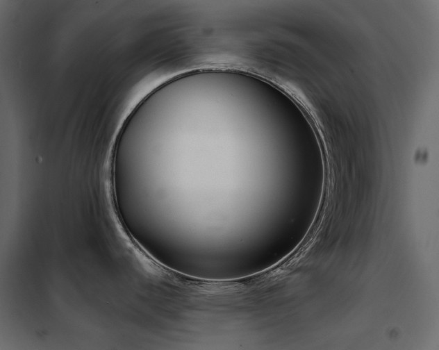 X0000102531440200808081441