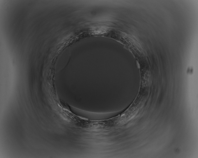 X0000102531441200808081440