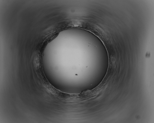X0000102531442200808081440