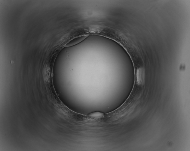 X0000102531443200808081440