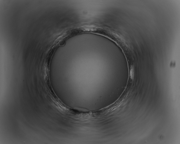 X0000102531444200808081440