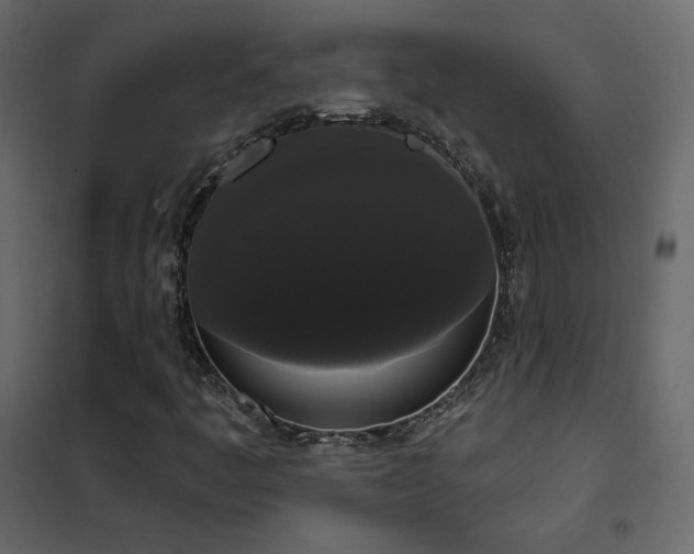 X0000102531445200808081440