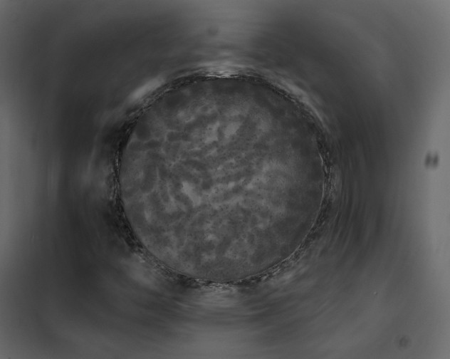 X0000102531446200808081440