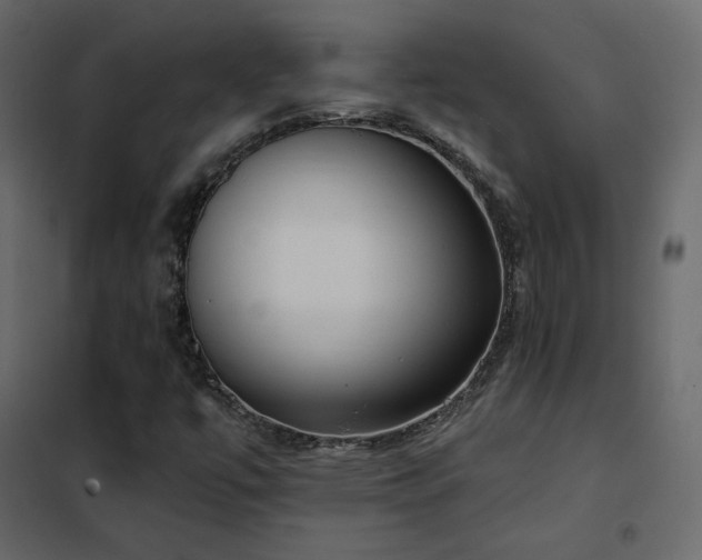 X0000102531447200808081440