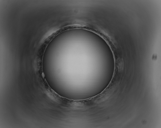 X0000102531448200808081440