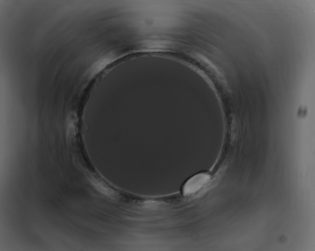 X0000102531449200808081440