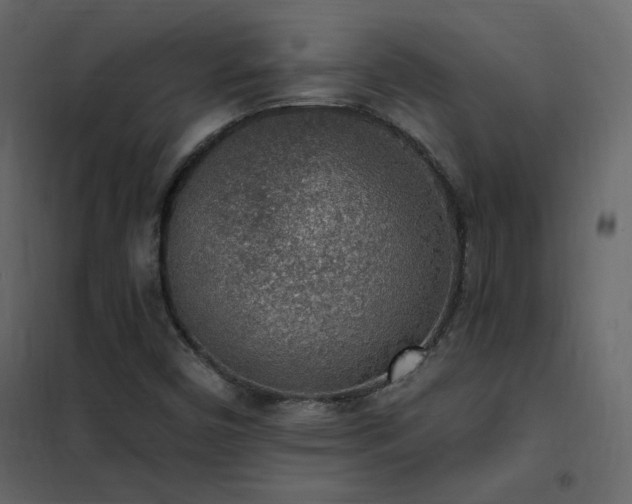 X0000102531450200808081440