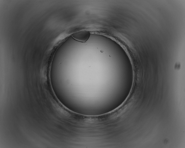 X0000102531451200808081440