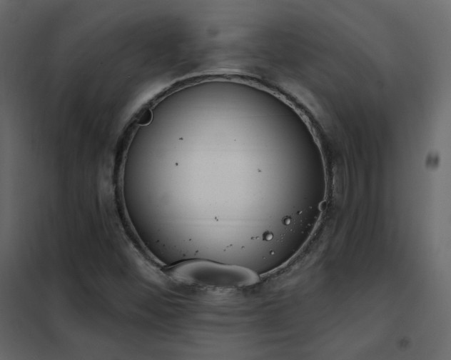 X0000102531452200808081440