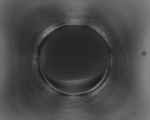 X0000102531453200808081440
