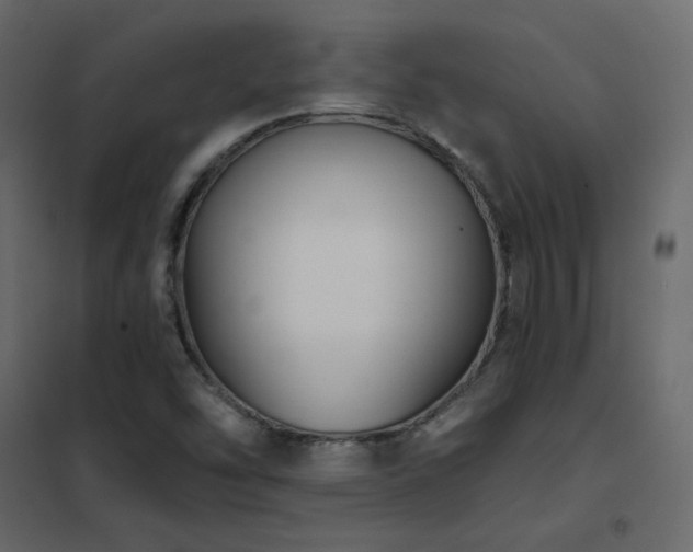 X0000102531454200808081440
