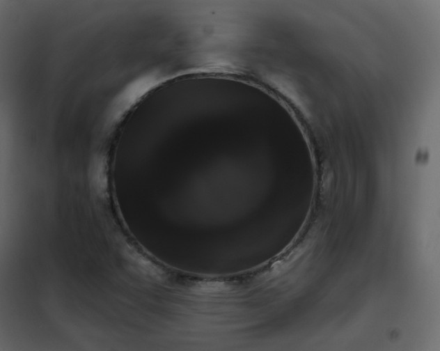 X0000102531455200808081440
