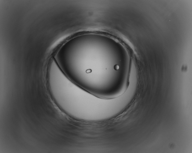 X0000102531456200808081440