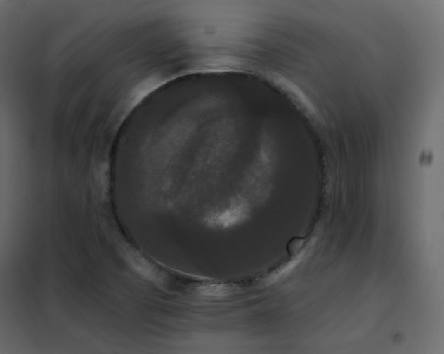 X0000102531457200808081440