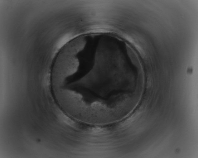 X0000102531459200808081440