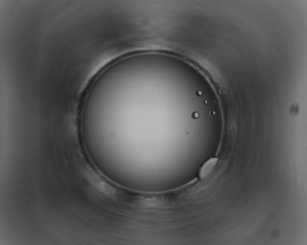 X0000102531460200808081440