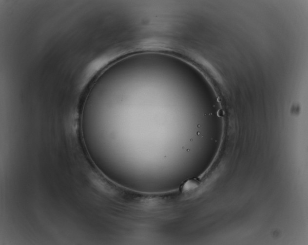 X0000102531461200808081440
