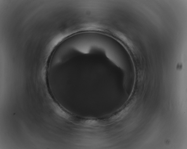 X0000102531463200808081440