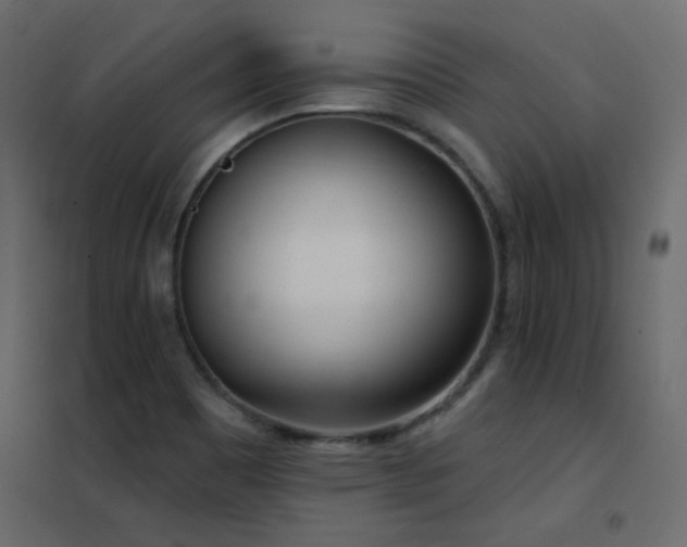 X0000102531465200808081440