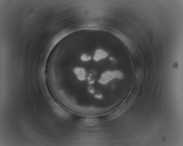 X0000102531466200808081440