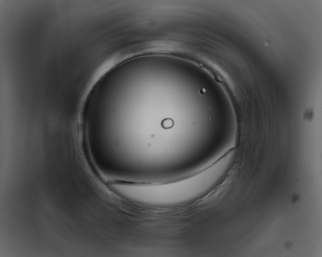 X0000102531467200808081440