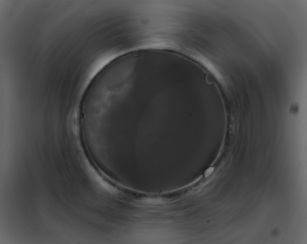 X0000102531468200808081440