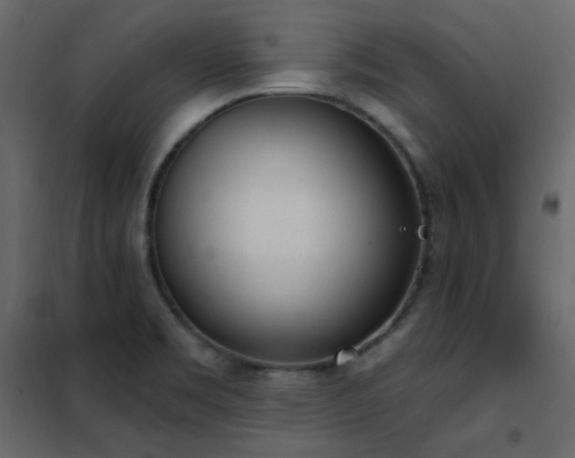 X0000102531469200808081439
