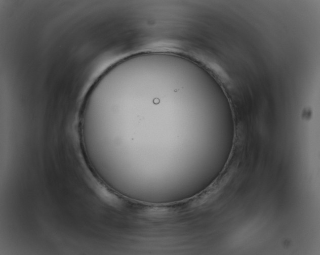 X0000102531470200808081439