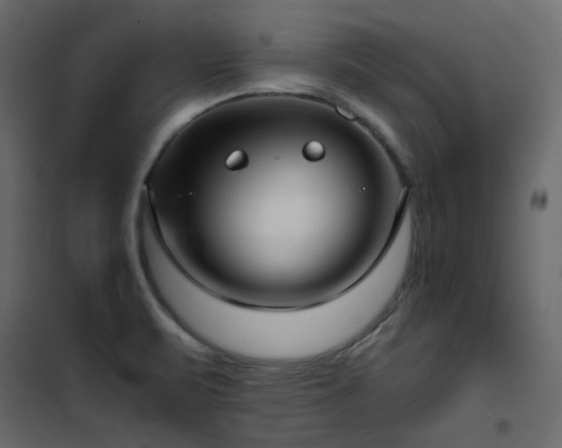 X0000102531471200808081439