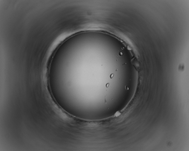 X0000102531472200808081439