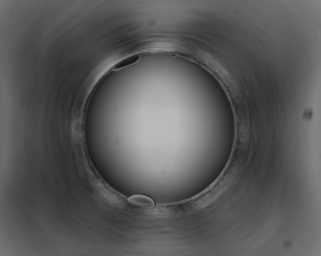 X0000102531473200808081439