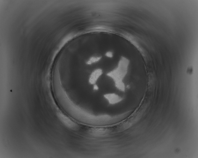 X0000102531474200808081439