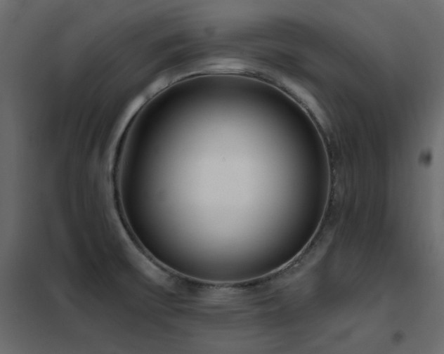 X0000102531475200808081439
