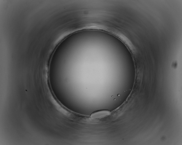 X0000102531476200808081439