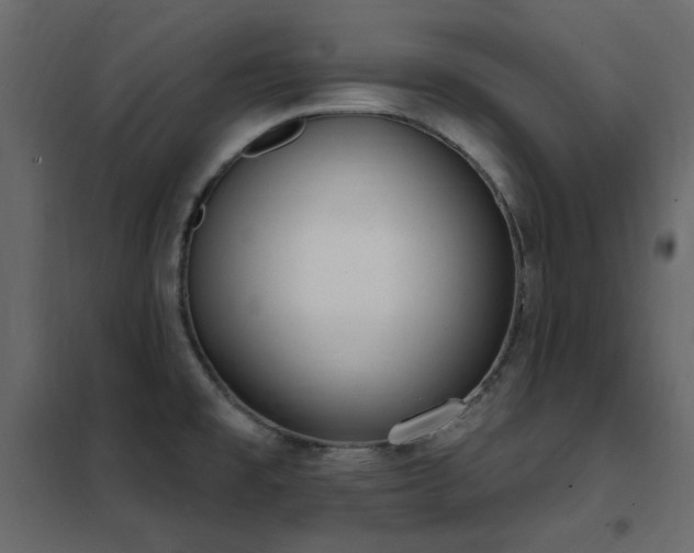 X0000102531477200808081439