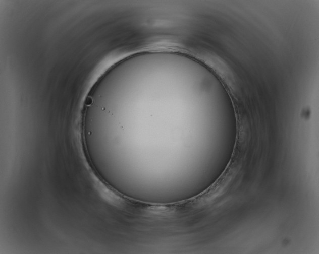 X0000102531478200808081439
