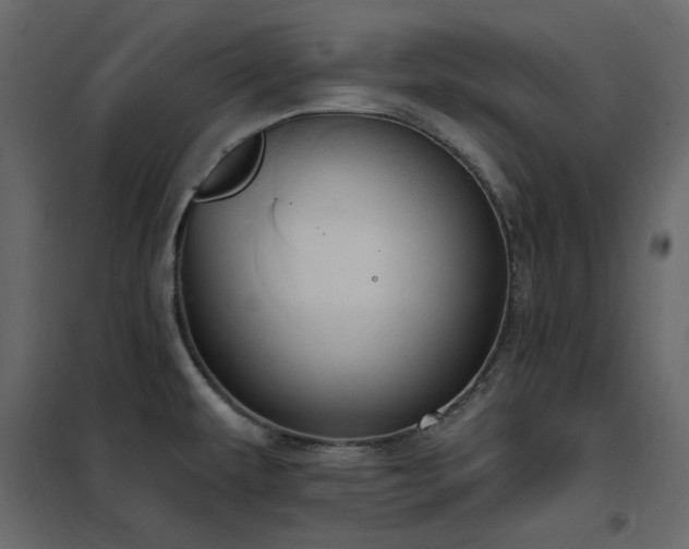 X0000102531479200808081439