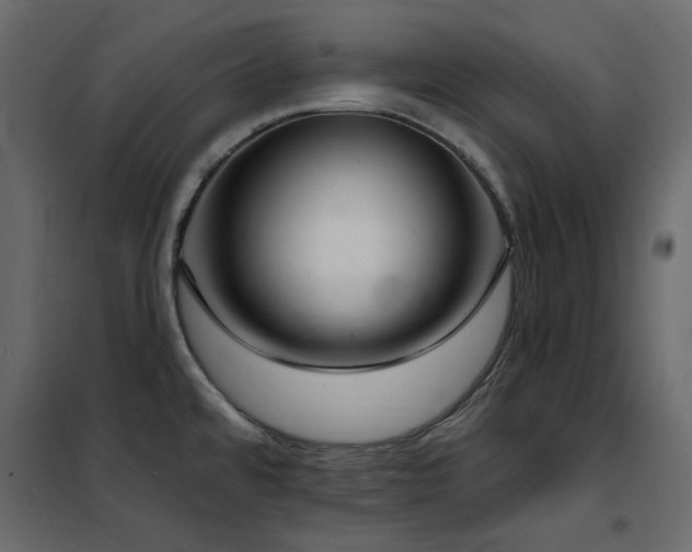 X0000102531480200808081439