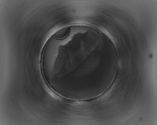 X0000102531482200808081439
