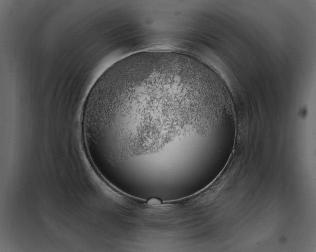X0000102531483200808081439
