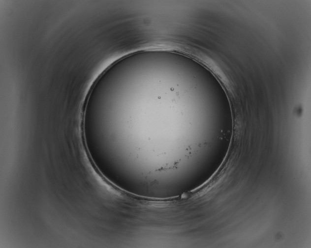 X0000102531484200808081439