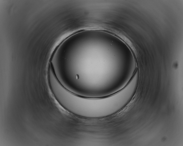 X0000102531485200808081439