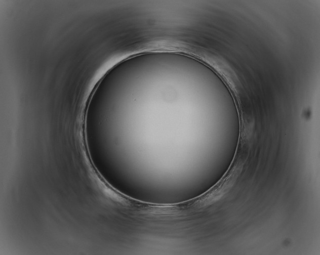 X0000102531486200808081439