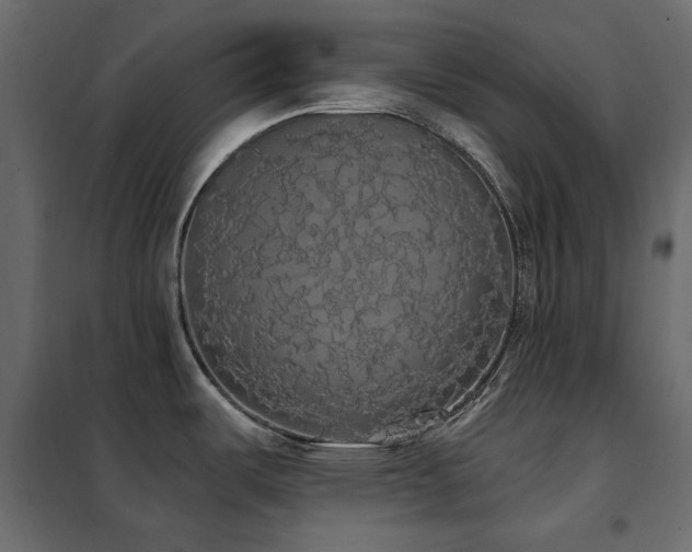X0000102531487200808081439