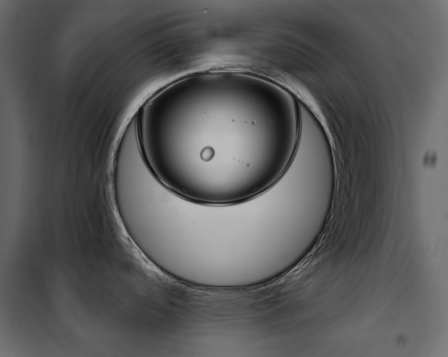 X0000102531488200808081439