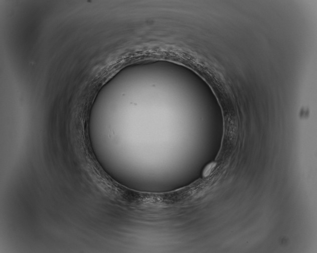 X0000102531489200808081438
