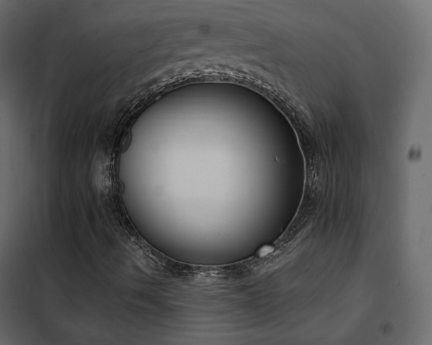 X0000102531490200808081438