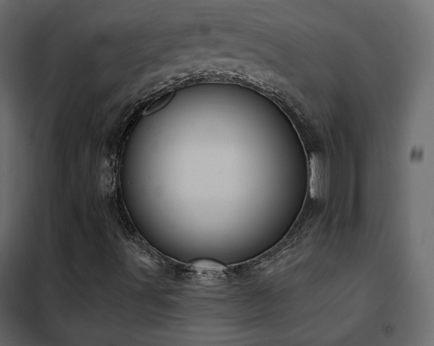 X0000102531491200808081438