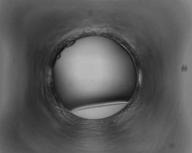 X0000102531492200808081438