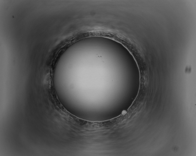 X0000102531493200808081438